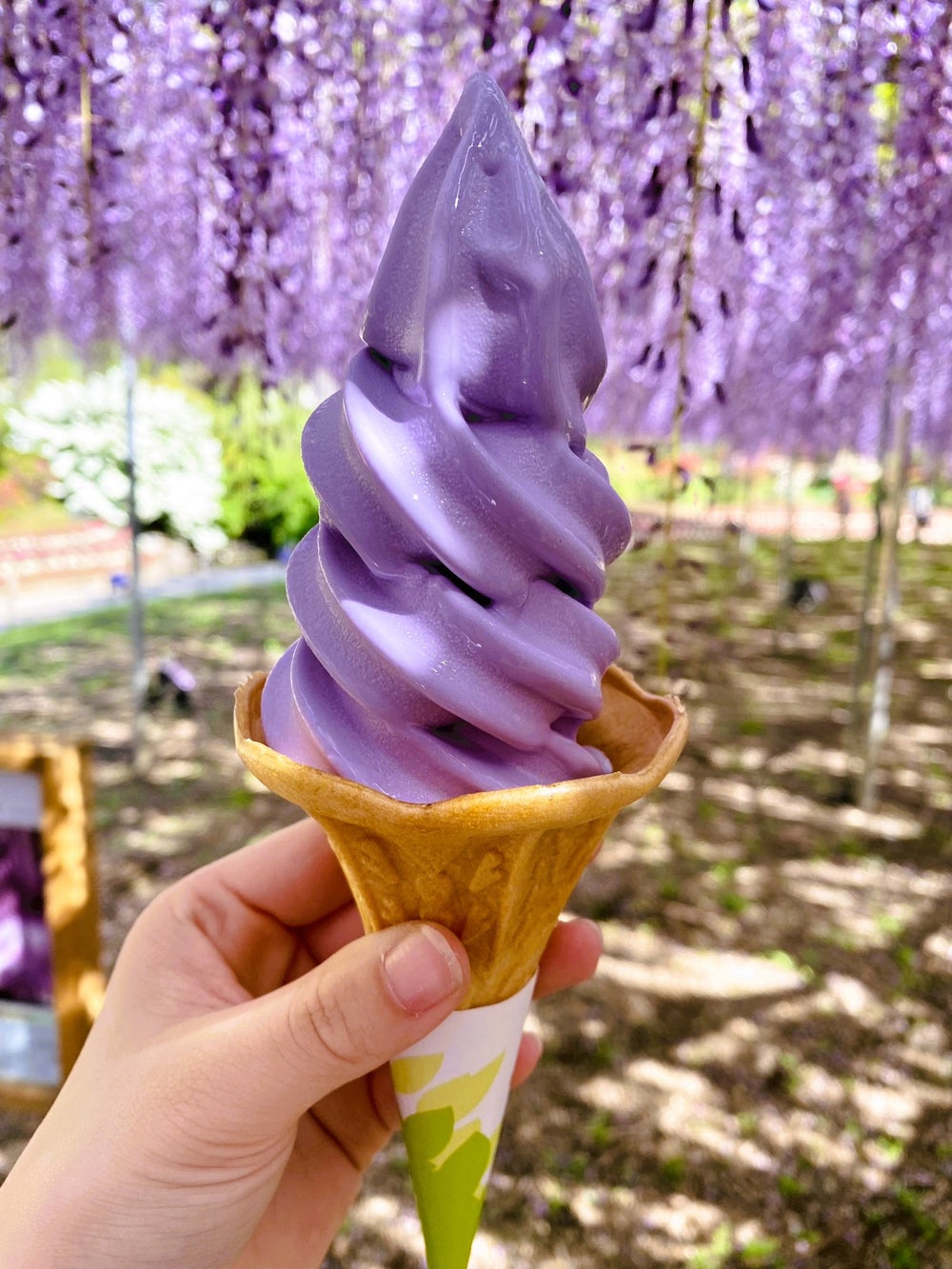 a4f7e7986f66636f694833a89c7da792_1762479819_4446.jpg a4f7e7986f66636f694833a89c7da792_1762479819_4446.jpg