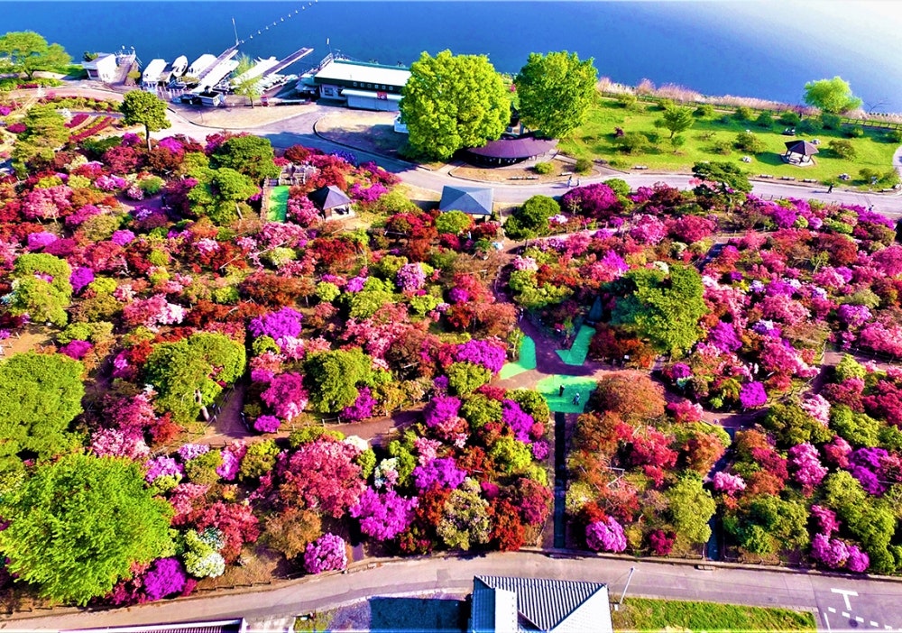 a4f7e7986f66636f694833a89c7da792_1762479871_775.jpg a4f7e7986f66636f694833a89c7da792_1762479871_775.jpg