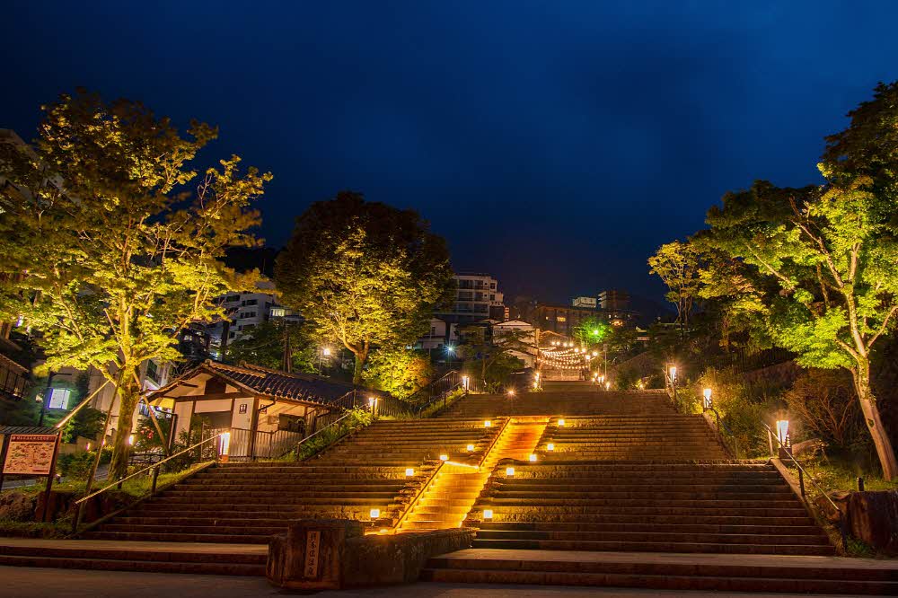 a4f7e7986f66636f694833a89c7da792_1762479947_1185.jpg a4f7e7986f66636f694833a89c7da792_1762479947_1185.jpg