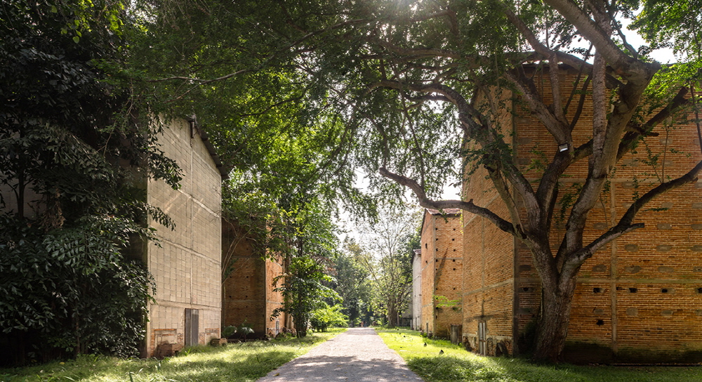 bf00ba9960f84bb4ae0df94a3030d375_1762396310_423.jpg bf00ba9960f84bb4ae0df94a3030d375_1762396310_423.jpg