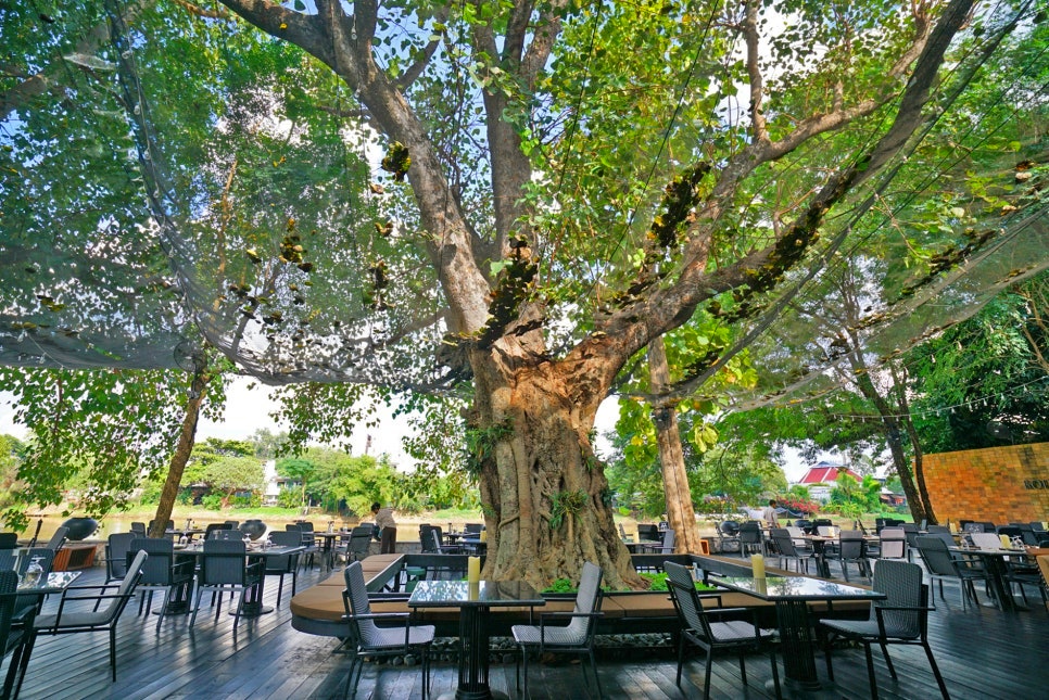 bf00ba9960f84bb4ae0df94a3030d375_1762397387_1699.jpg bf00ba9960f84bb4ae0df94a3030d375_1762397387_1699.jpg