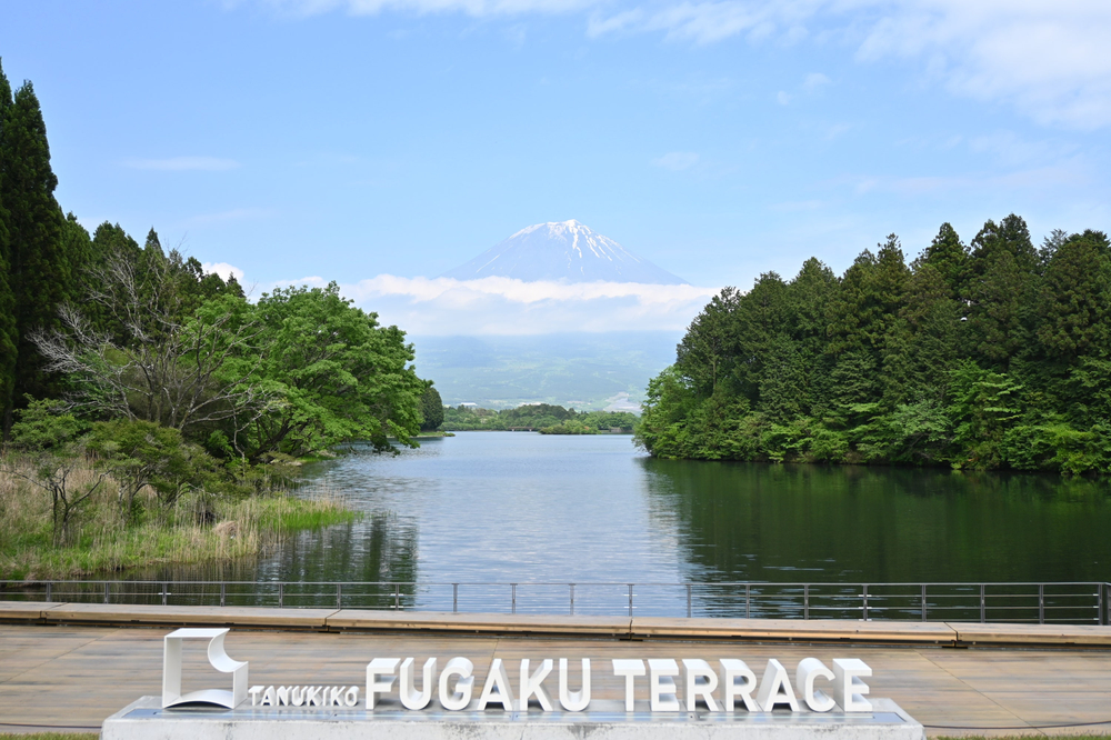 022328733f50cfe3eec4db8bc81c1287_1766103669_5583.jpg 022328733f50cfe3eec4db8bc81c1287_1766103669_5583.jpg