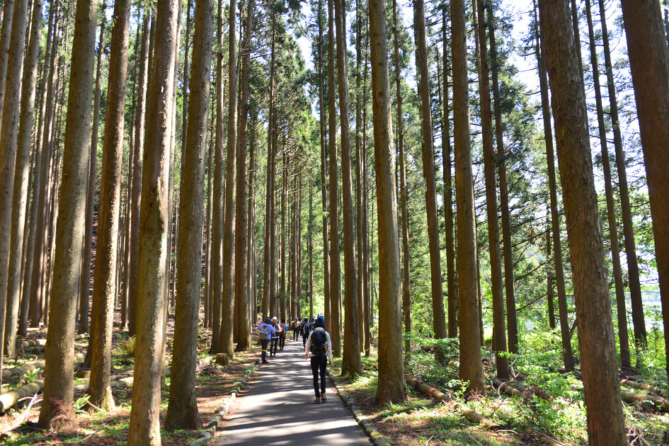 022328733f50cfe3eec4db8bc81c1287_1766103676_1875.jpg 022328733f50cfe3eec4db8bc81c1287_1766103676_1875.jpg