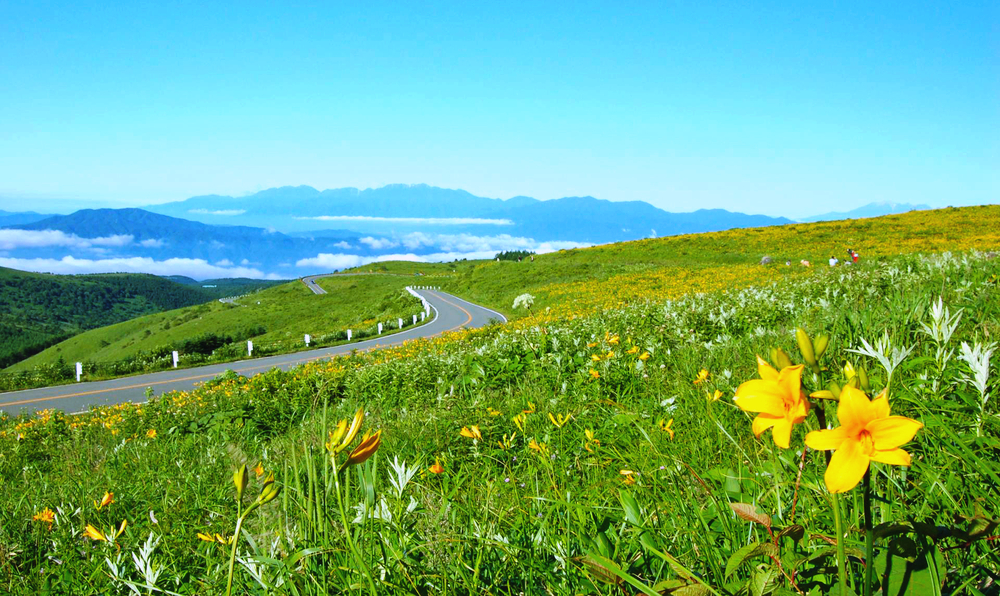 3a14a4a5d25671a0c1cded5fc25095a3_1766483249_3172.jpg 3a14a4a5d25671a0c1cded5fc25095a3_1766483249_3172.jpg