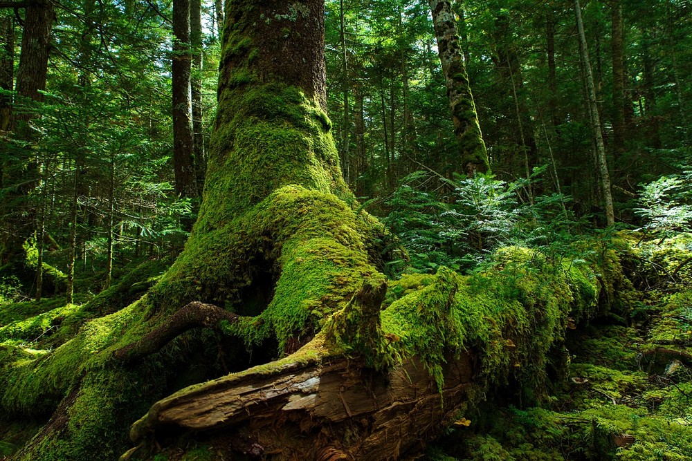 3a14a4a5d25671a0c1cded5fc25095a3_1766483328_9493.jpg 3a14a4a5d25671a0c1cded5fc25095a3_1766483328_9493.jpg