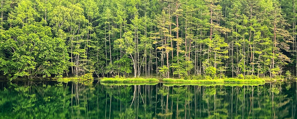 3a14a4a5d25671a0c1cded5fc25095a3_1766483341_5312.jpg 3a14a4a5d25671a0c1cded5fc25095a3_1766483341_5312.jpg