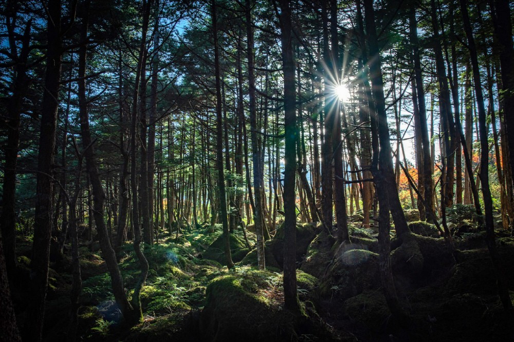 3a14a4a5d25671a0c1cded5fc25095a3_1766483358_4287.jpg 3a14a4a5d25671a0c1cded5fc25095a3_1766483358_4287.jpg