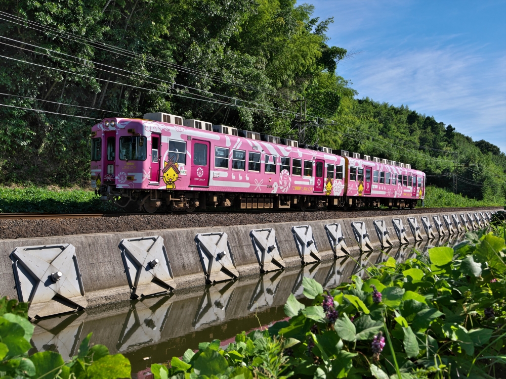 8e6a6ea39389aeb06722368f97437edb_1765157131_6466.jpg 8e6a6ea39389aeb06722368f97437edb_1765157131_6466.jpg