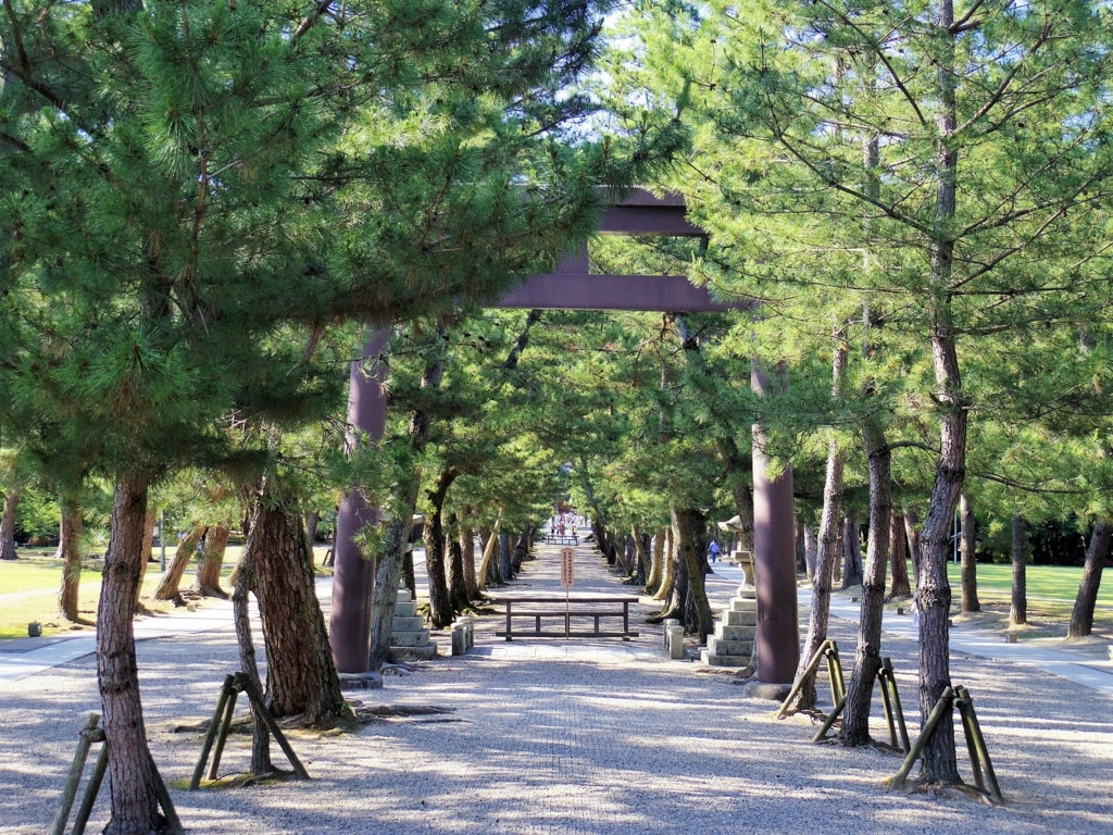 8e6a6ea39389aeb06722368f97437edb_1765157174_8601.jpg 8e6a6ea39389aeb06722368f97437edb_1765157174_8601.jpg