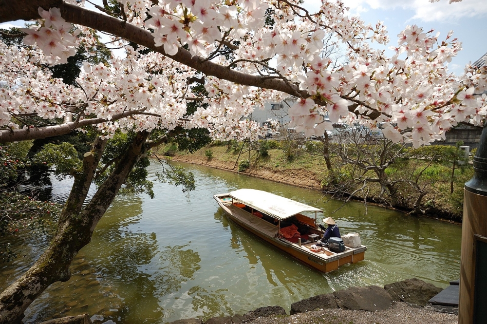 8e6a6ea39389aeb06722368f97437edb_1765157187_684.jpg 8e6a6ea39389aeb06722368f97437edb_1765157187_684.jpg