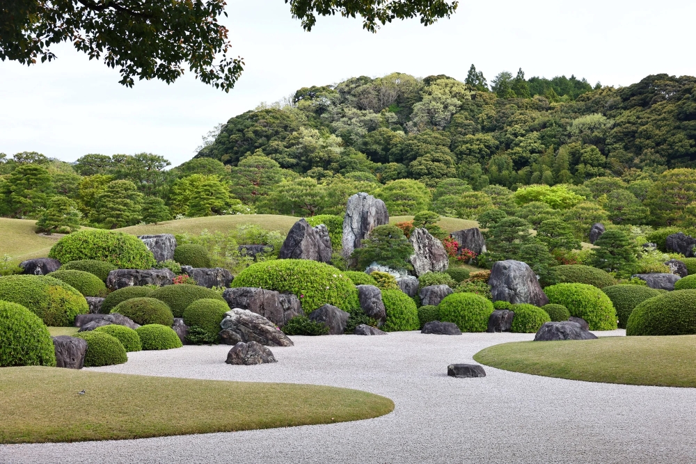 8e6a6ea39389aeb06722368f97437edb_1765157204_455.jpg 8e6a6ea39389aeb06722368f97437edb_1765157204_455.jpg