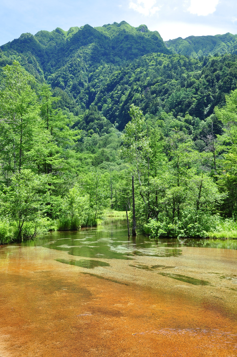 fbecb1761afdb2614c41e93c1406ee37_1765171095_0448.jpg fbecb1761afdb2614c41e93c1406ee37_1765171095_0448.jpg