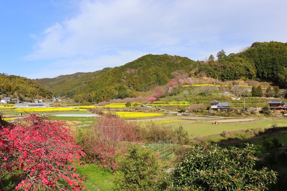 798ed30f1afa4201ae2a6b95bb297990_1770607422_6007.jpg 798ed30f1afa4201ae2a6b95bb297990_1770607422_6007_1773301305.jpg