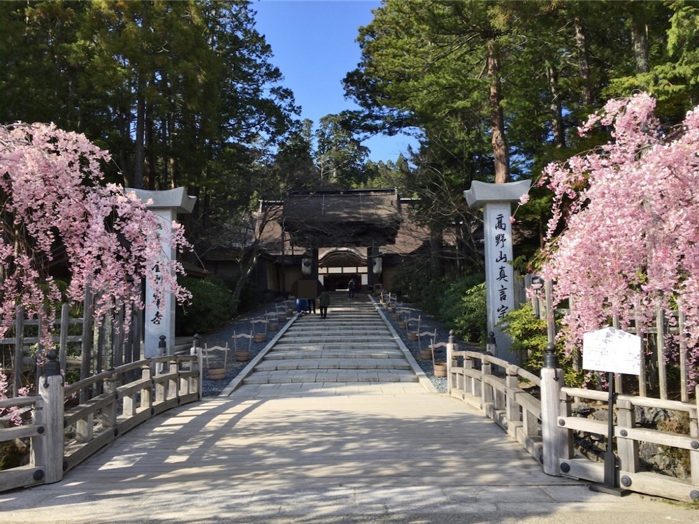 0ffab6e2307d64ede8b823f0f2d42f6b_1774415840_3227.jpg 0ffab6e2307d64ede8b823f0f2d42f6b_1774415840_3227.jpg