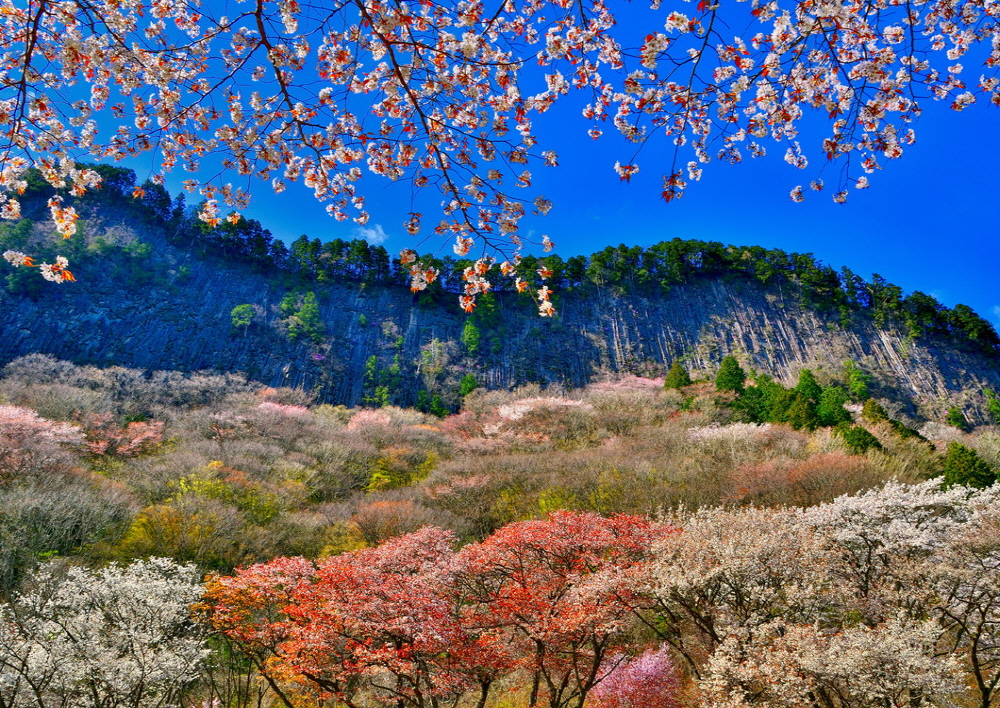 0ffab6e2307d64ede8b823f0f2d42f6b_1774416429_2551.jpg 0ffab6e2307d64ede8b823f0f2d42f6b_1774416429_2551.jpg