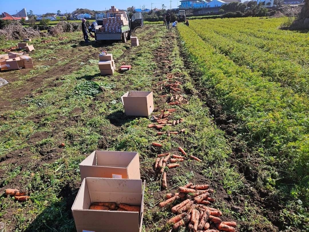 1f58b86e57579f633243d5b20324dba3_1772507196_5657.jpg 1f58b86e57579f633243d5b20324dba3_1772507196_5657.jpg