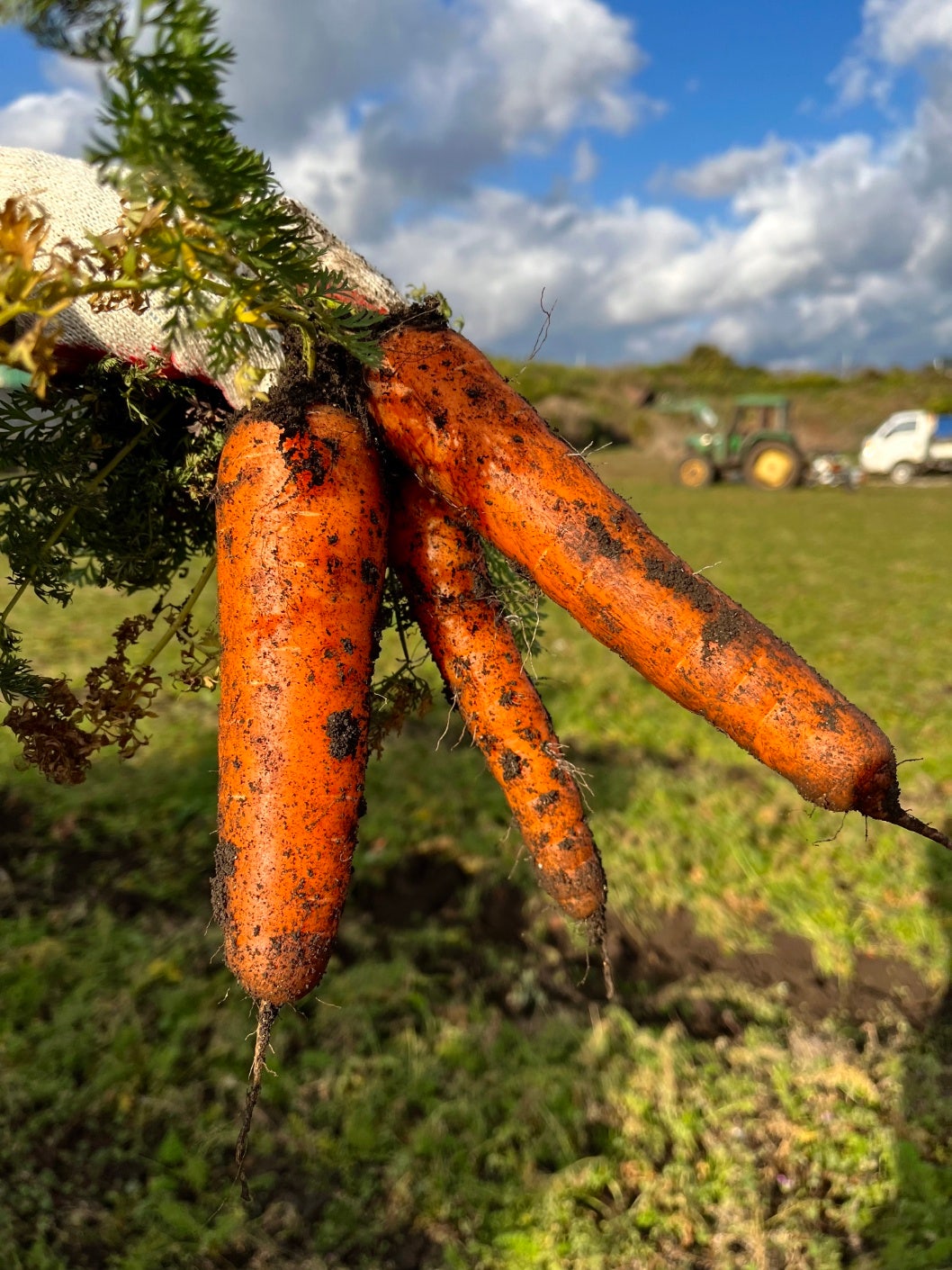 1f58b86e57579f633243d5b20324dba3_1772507196_6581.jpg 1f58b86e57579f633243d5b20324dba3_1772507196_6581.jpg