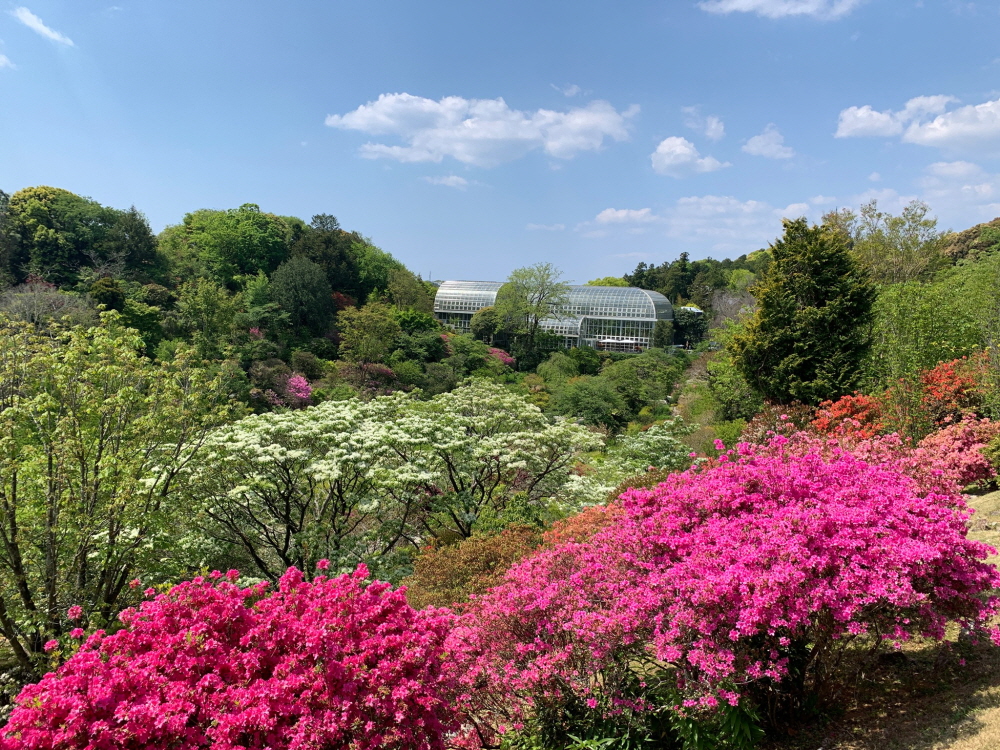 8a31ec5dd8b8dad13fb59bc4bace4116_1773309553_0929.jpg 8a31ec5dd8b8dad13fb59bc4bace4116_1773309553_0929.jpg