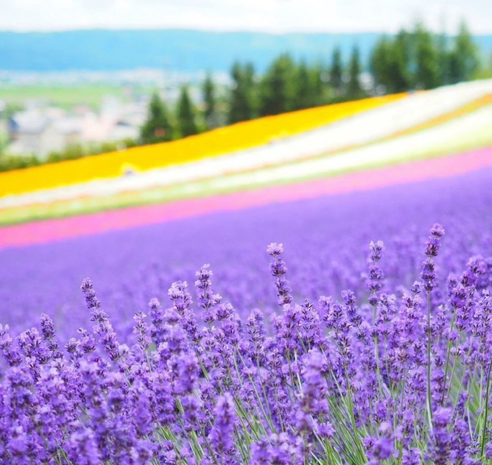 d609d63dfc0389c73c821475928f98d5_1773197142_6472.jpg d609d63dfc0389c73c821475928f98d5_1773197142_6472_1775814906.jpg