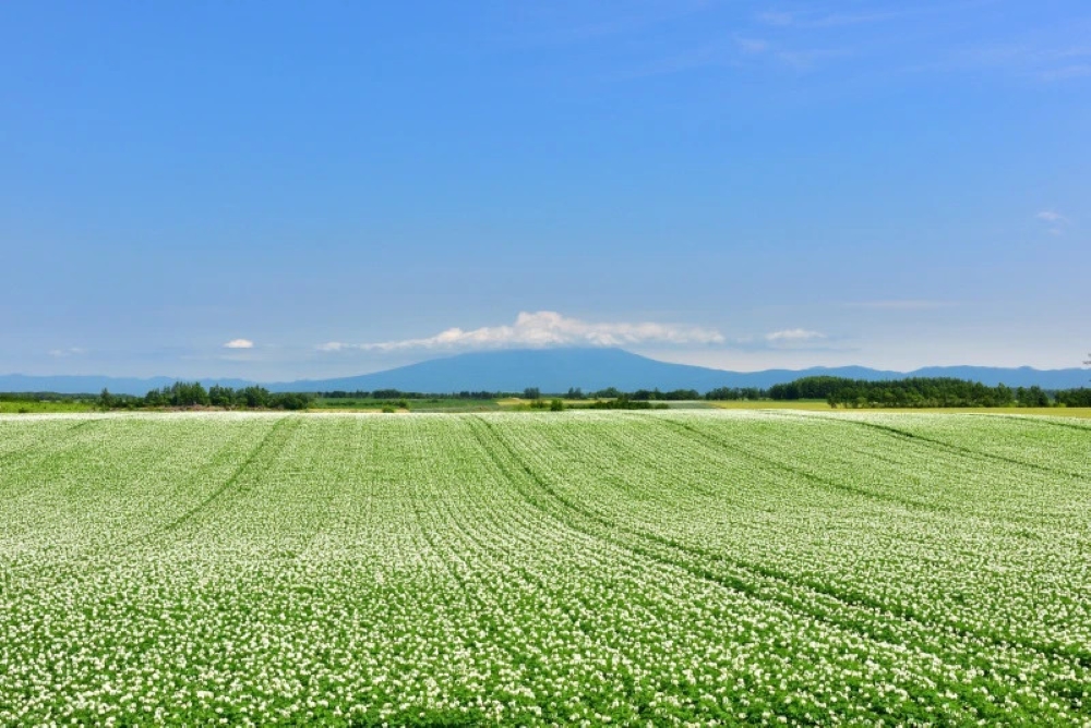 d609d63dfc0389c73c821475928f98d5_1773198185_9538.jpg d609d63dfc0389c73c821475928f98d5_1773198185_9538_1775814906.jpg