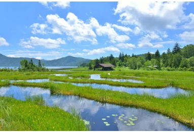천상의 화원 오제(尾瀬)와 닛코 ５일