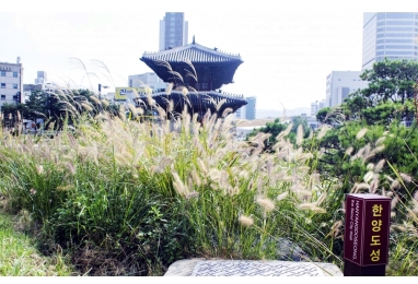 인생사진 스팟! 서울한양도성을 따라가는 시간여행