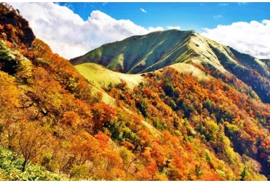단풍절경! 백대명산 쓰루기산(剣山1955m) 3일