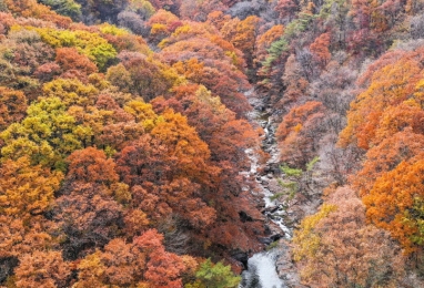 알수록 남원, 가을 색 짙은 지리산을 중심으로 3일