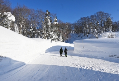 雪国의 크리스마스, 아오모리 3일