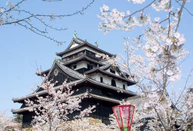 사쿠라 절정 마쓰에, 이즈모 가성비 4일