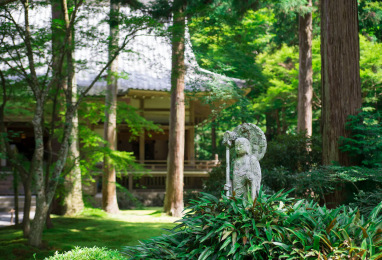 봄날 교토, 초록 햇살의 정원과 미술관 4일