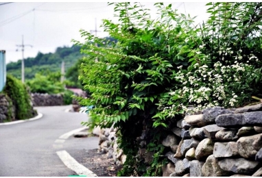 부여 반교리 돌담마을-백제금동대향로 2일